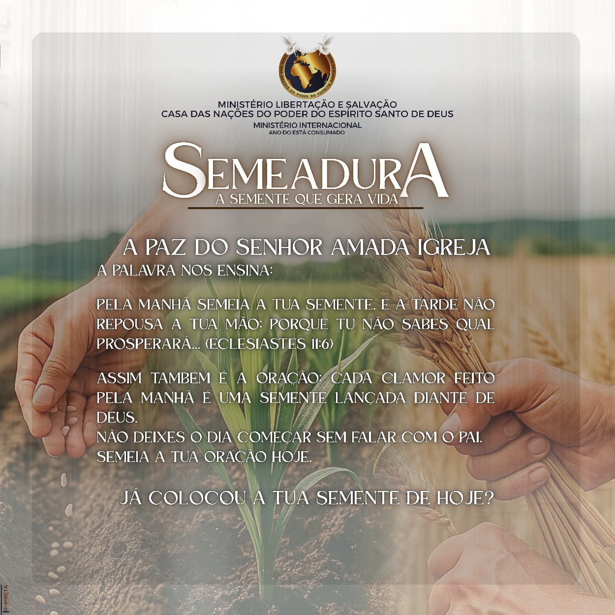 Semeadura — a semente que gera vida
